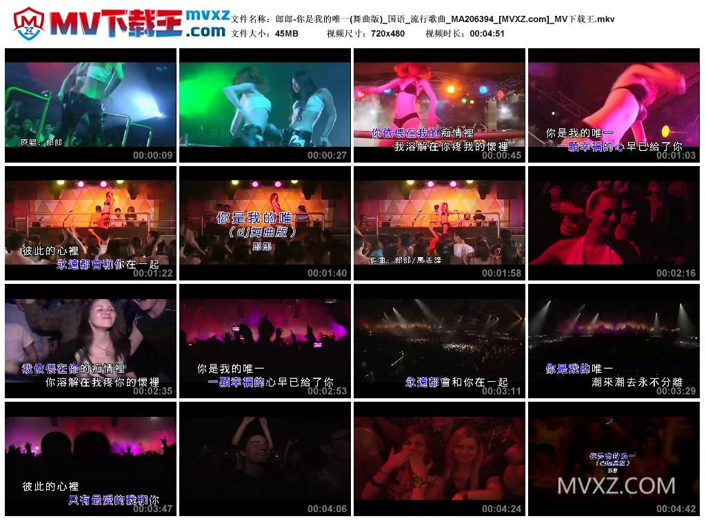 郎郎-你是我的唯一(舞曲版)_国语_流行歌曲_MA206394